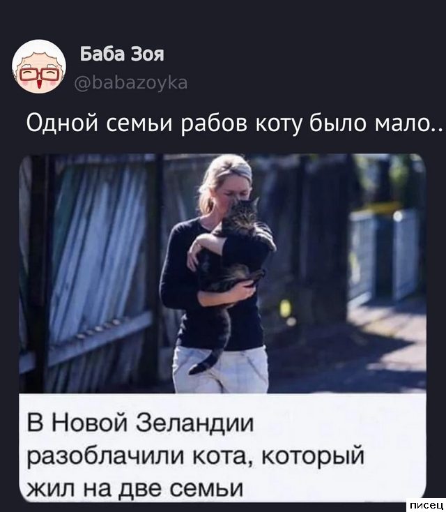 25 августовских приколов из соцсетей. Ржака дня!