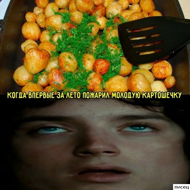 Летописец. Классные приколы!