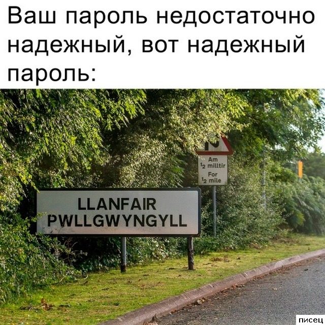 Все приколы Августа. Финал