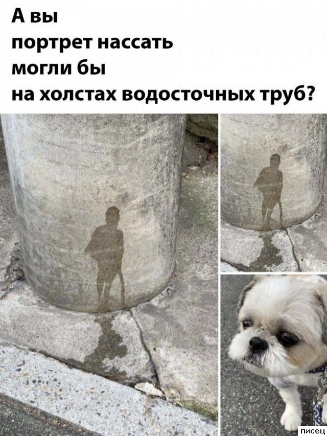 Все приколы Августа. Финал