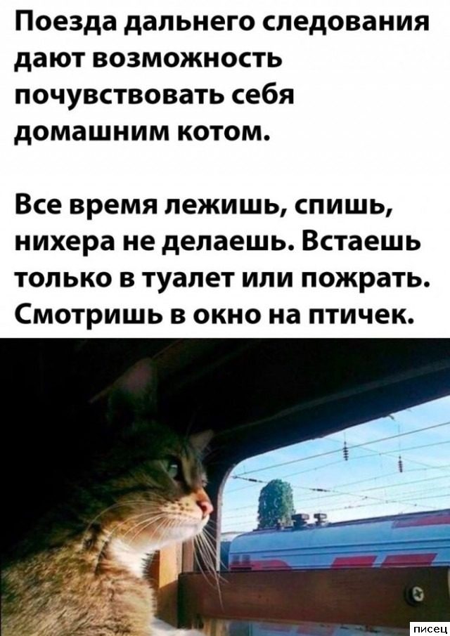 Все приколы Августа. Финал