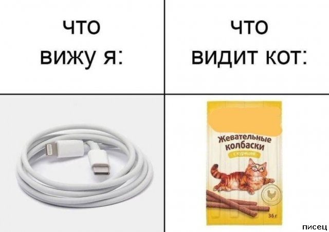 Все приколы интернета. Лайк!