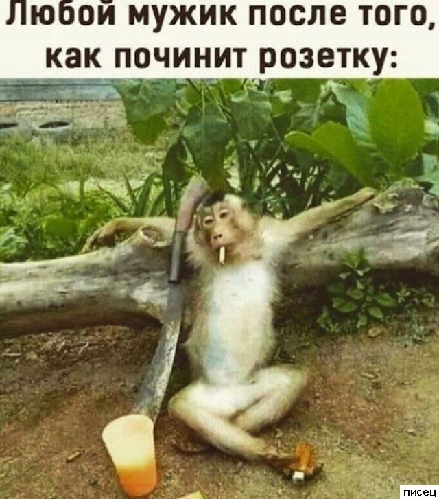 Все мужские приколы