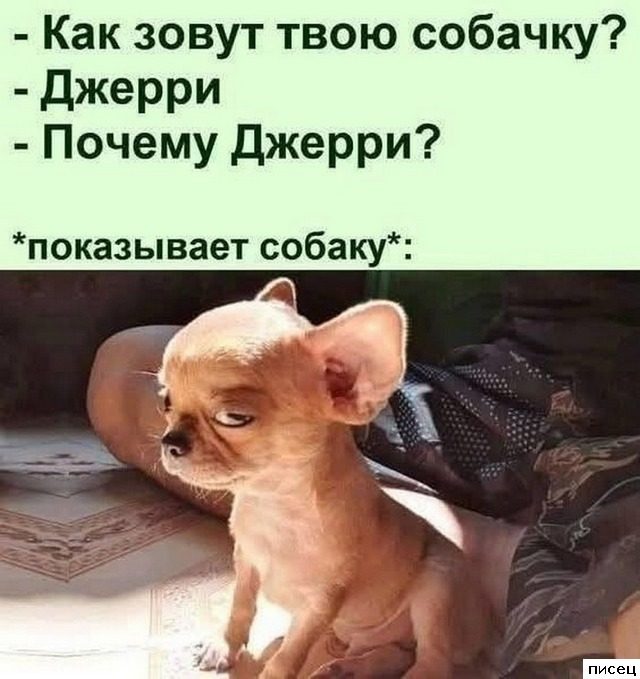 Все приколы интернета. Лайк!