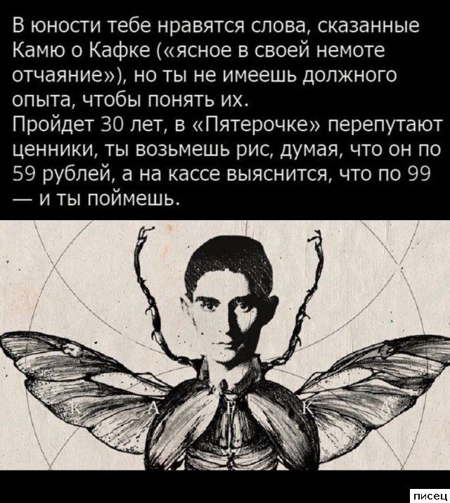 Все приколы интернета. Лайк!