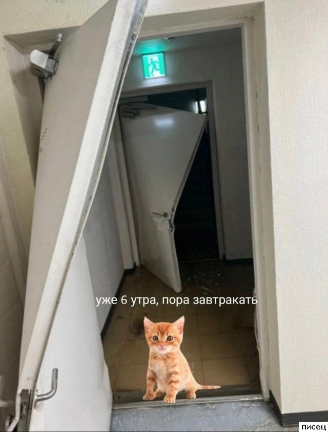 Все приколы Сентября. Ржака дня!