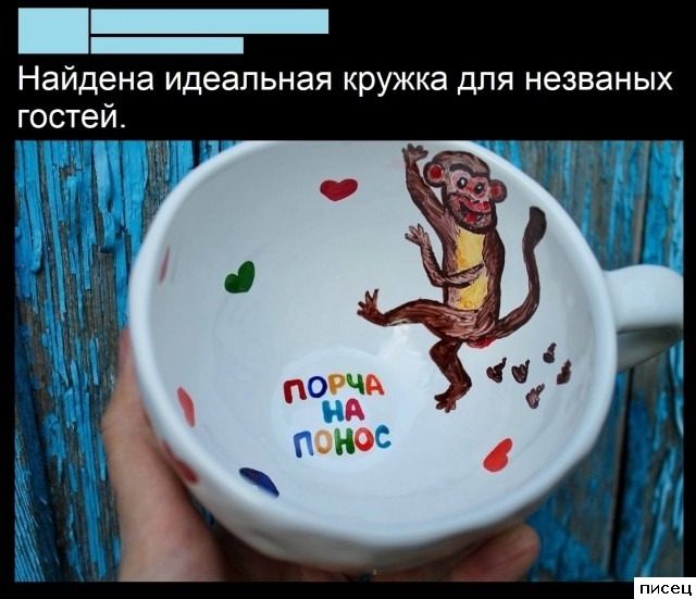 25 сентябрьских приколов из соцсетей. Кайф!