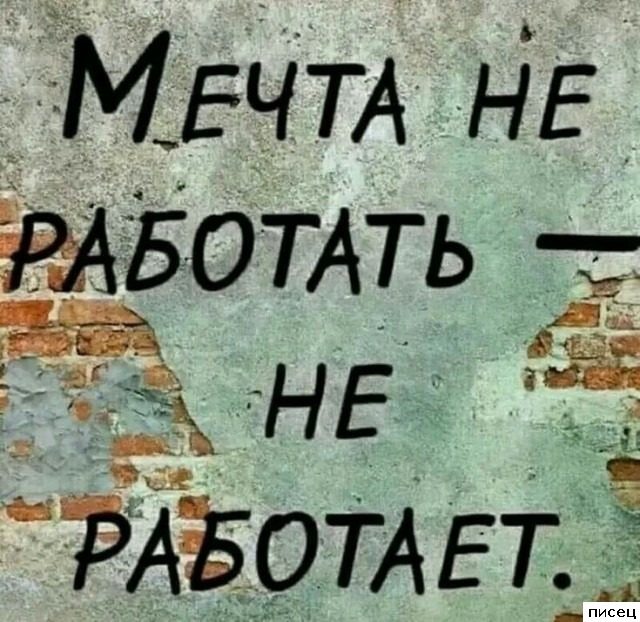 Прикольные цитаты. Лайк!