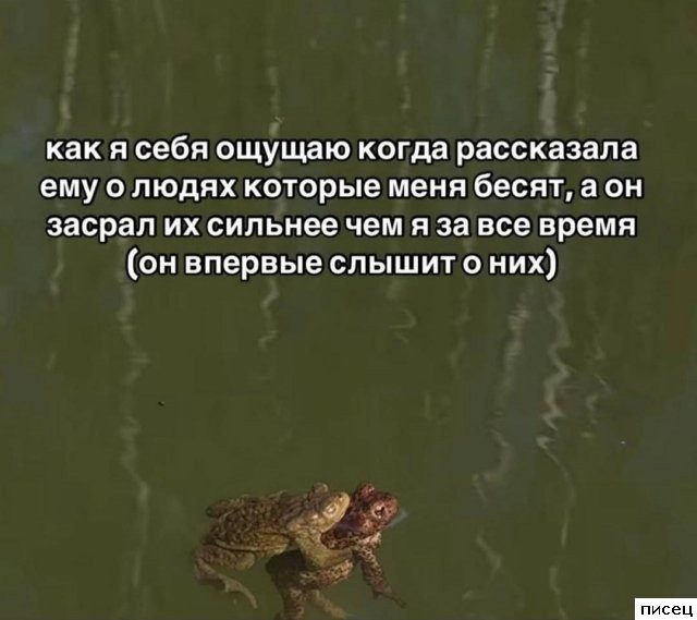 Прикольные цитаты. Лайк!