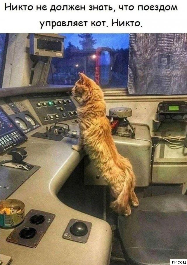 Все приколы Сентября. Праздник каждый день!