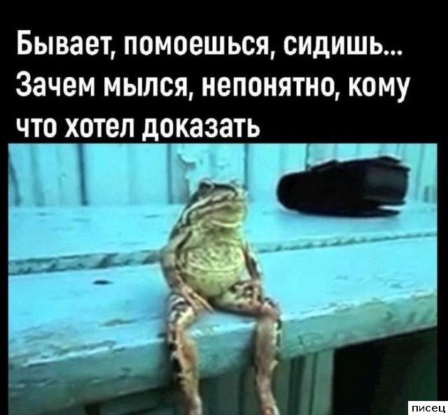 Все приколы Сентября. Праздник каждый день!