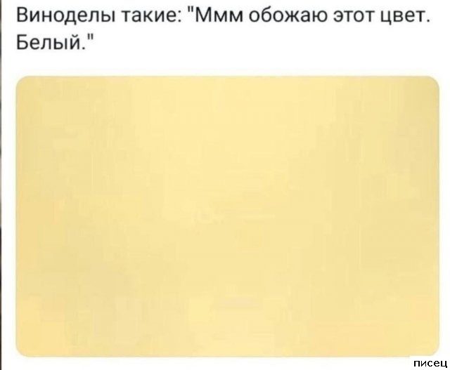 Все приколы Сентября. Праздник каждый день!