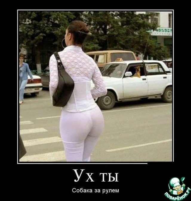 Прикольные Демотиваторы. Настоящий Кайф!