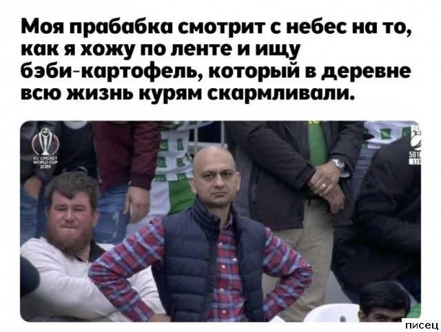 Все приколы Сентября. Праздник каждый день!