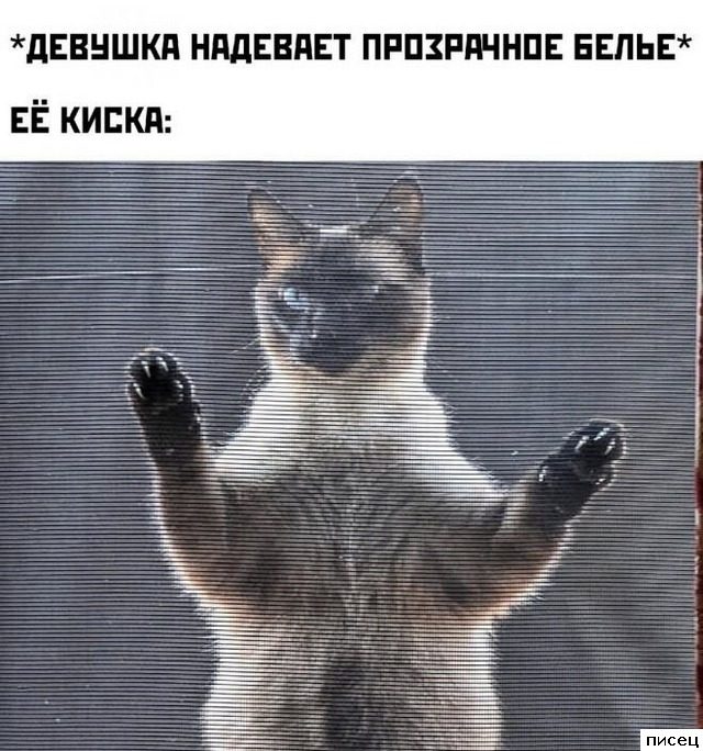 Женские приколы. The Best Of The Best