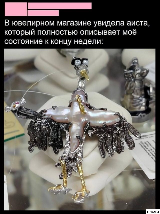 Женские приколы. The Best Of The Best