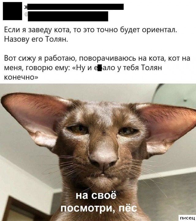 В социальных сетях опять отжигают!