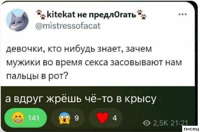 Вы спрашивали? Мы отвечаем!