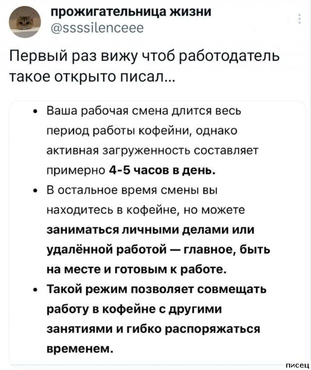 На работе свои приколы. Супер!