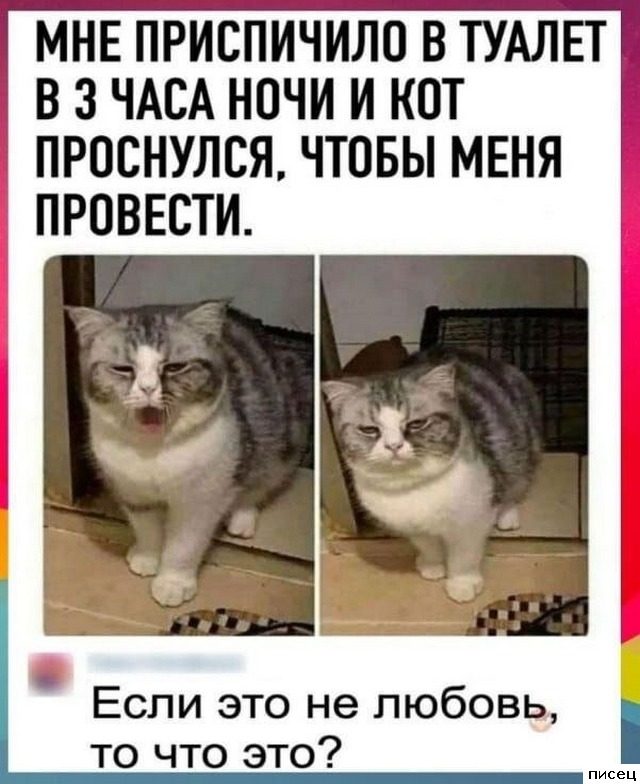 25 сентябрьских приколов из соцсетей. Очень смешно!