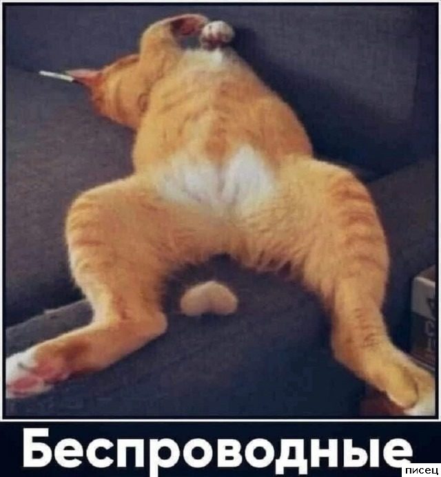 Все приколы интернета. Наслаждайтесь!