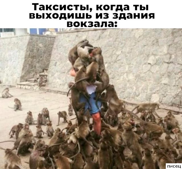 Все приколы интернета. Наслаждайтесь!
