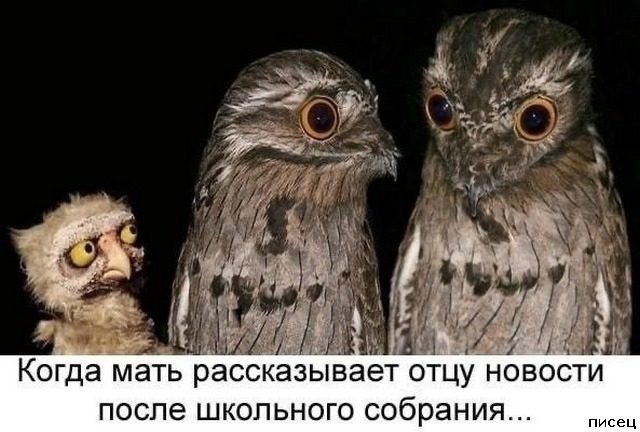 Потрясающие приколы в стиле «Когда...»