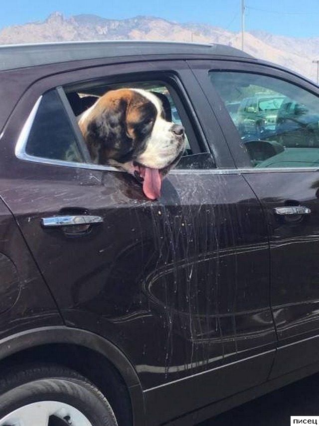Автомобильная ржака. Вот умора!