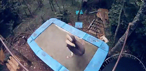 Анимированный юмор. Кайф!