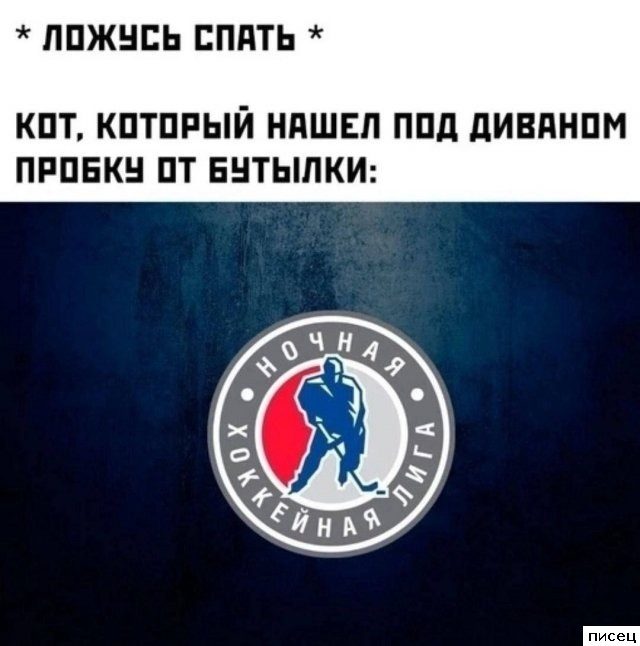 Все приколы Сентября. Финальная серия