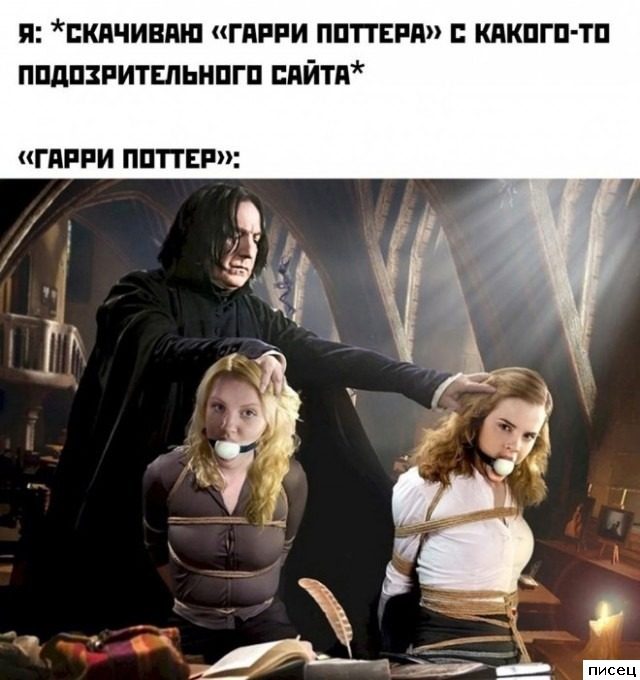Все приколы Сентября. Финальная серия