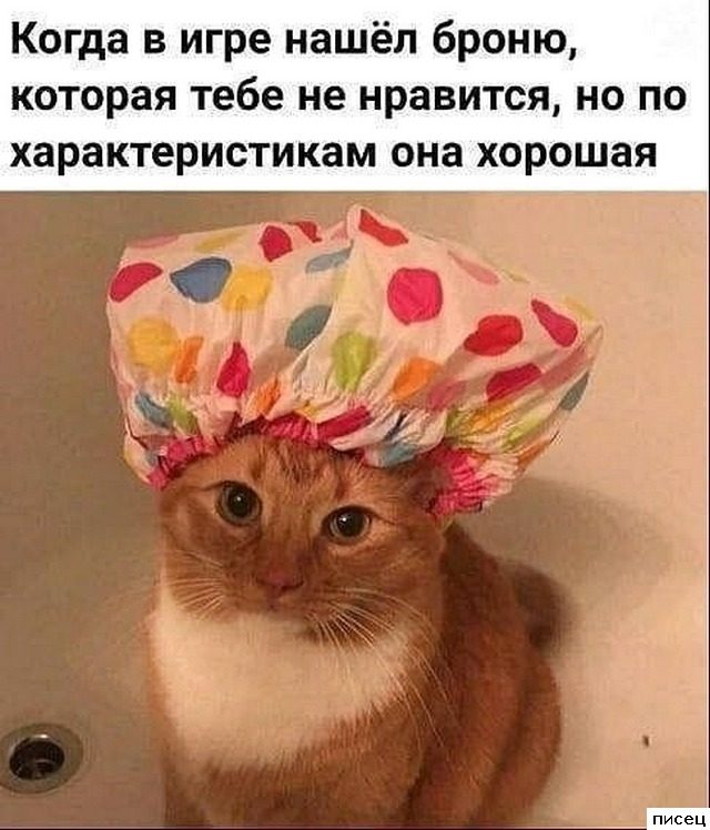 Шедевральные приколы в стиле «Когда...»