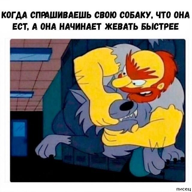 Шедевральные приколы в стиле «Когда...»