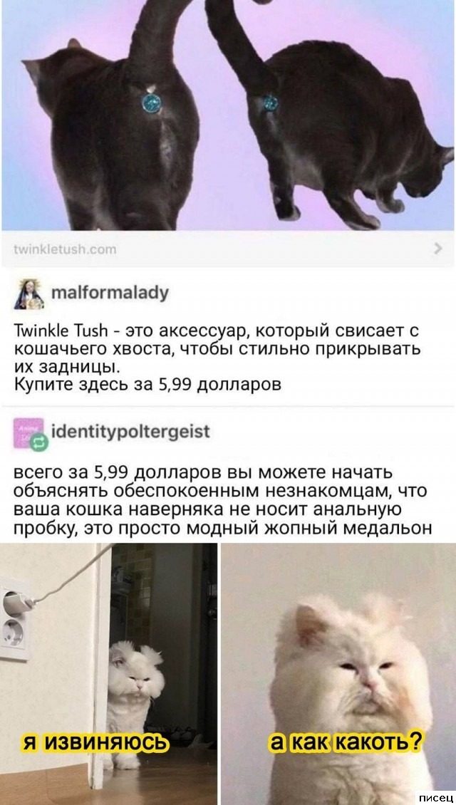25 сентябрьских приколов из соцсетей. Это очень смешно!