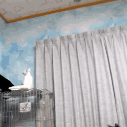 Анимированный юмор. Балдёжь!