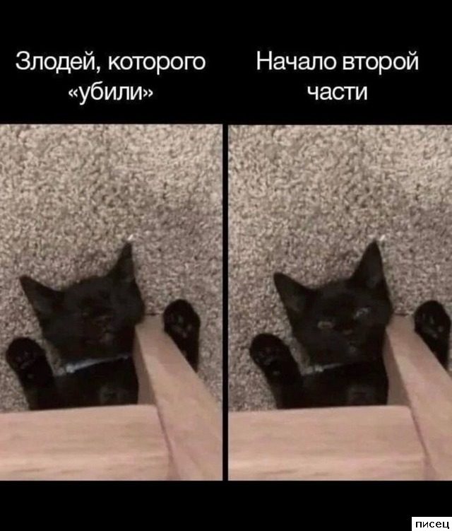 Все приколы Октября. Великолепно!