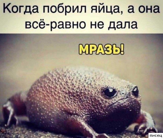 Шедевральные приколы в стиле «Когда...». Класс!