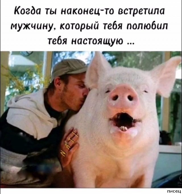 Шедевральные приколы в стиле «Когда...». Класс!