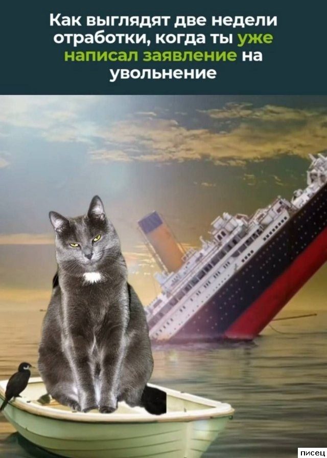 Когда на работе свои приколы