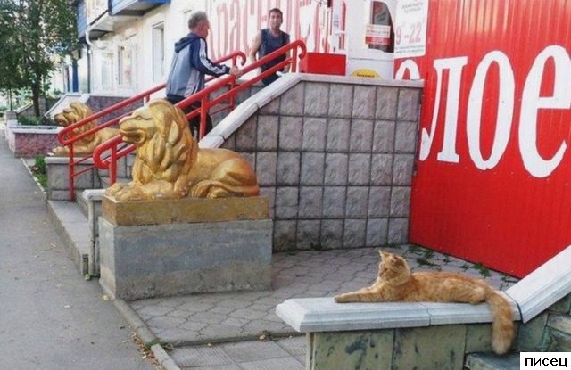Коллекция идеальных моментов