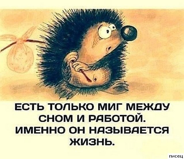 Прикольные цитаты. Классика жанра