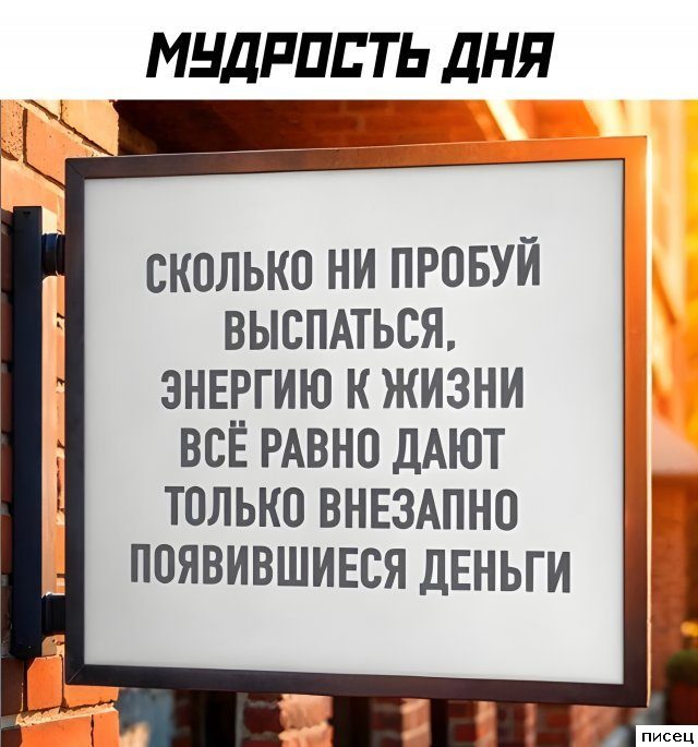 Прикольные цитаты. Классика жанра