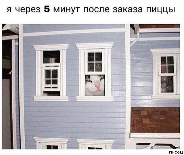 Все приколы интернета. Ржунимагу!