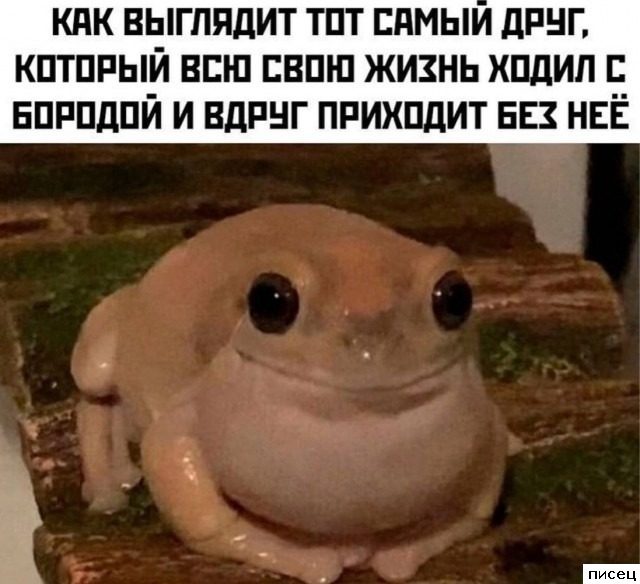 Мужские приколы. Обалденно!