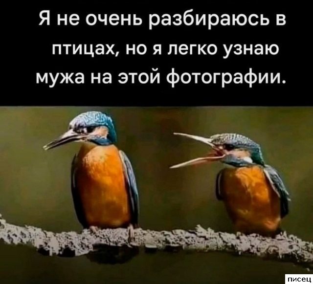 Мужские приколы. Обалденно!