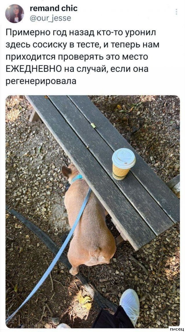 В социальных сетях снова отжигают не по-детски!