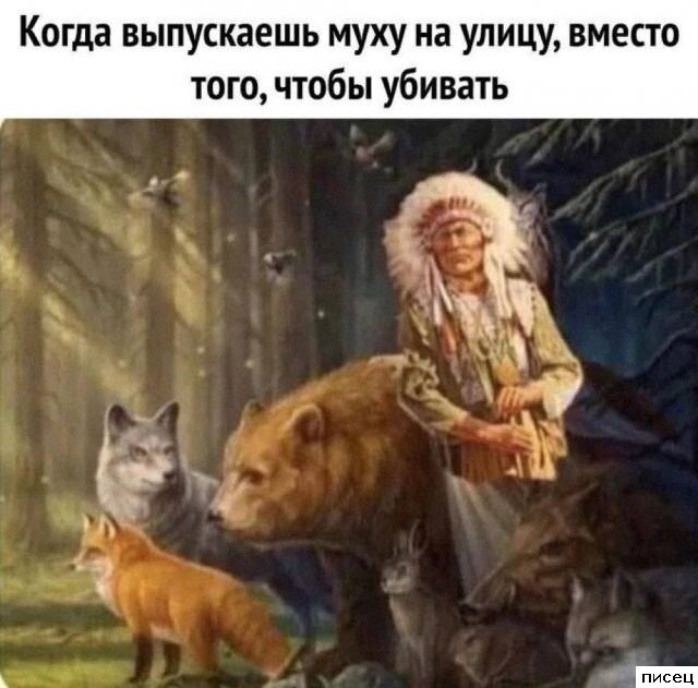 Эпические приколы в стиле «Когда...»