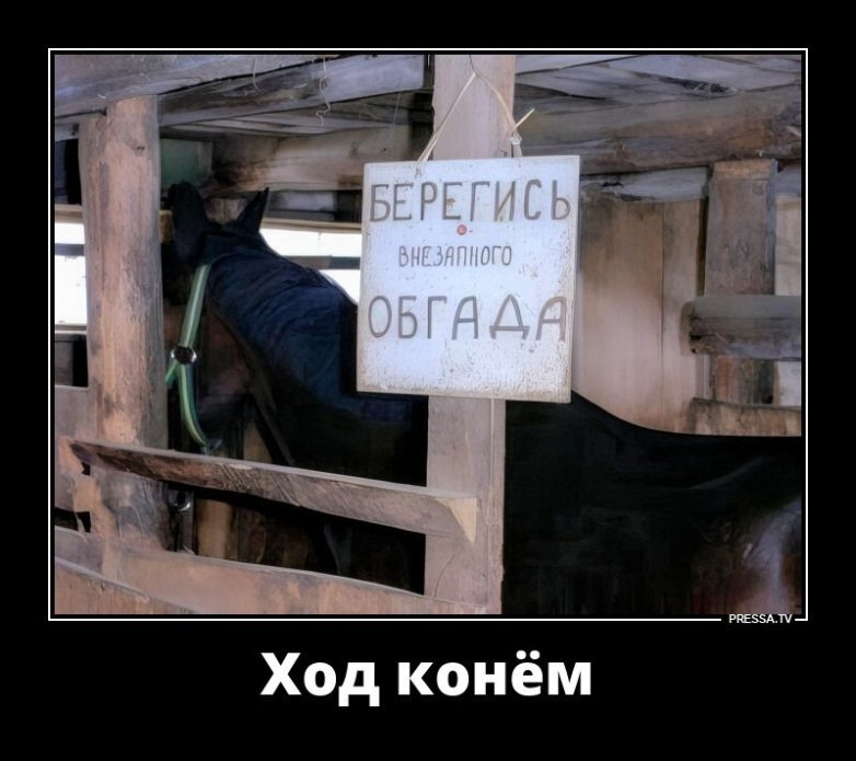 Прикольные Демотиваторы. Настоящее удовольствие!