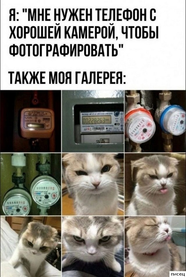 Все приколы Октября. Праздник каждый день!