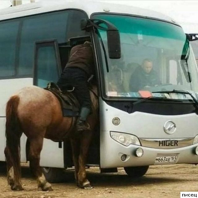 Русские приколы. Ржунимагу!